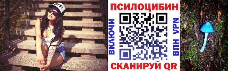Галлюциногенные грибы Cubensis  Сольцы 