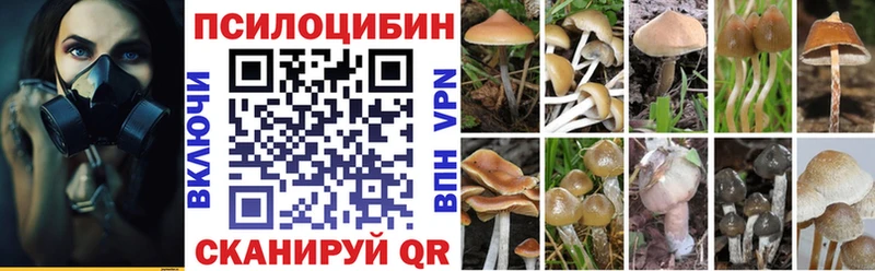 Псилоцибиновые грибы Psilocybine cubensis Сольцы